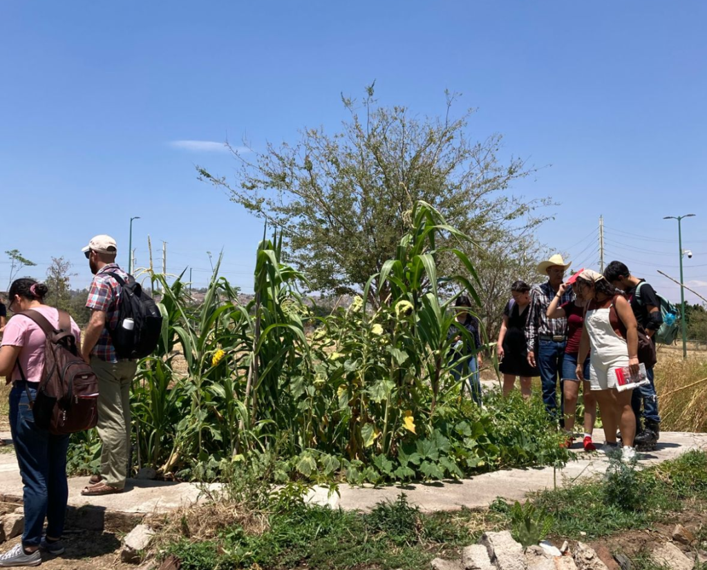 Agroecología para la vida autónoma: “filosofía para la&nbsp;acción”